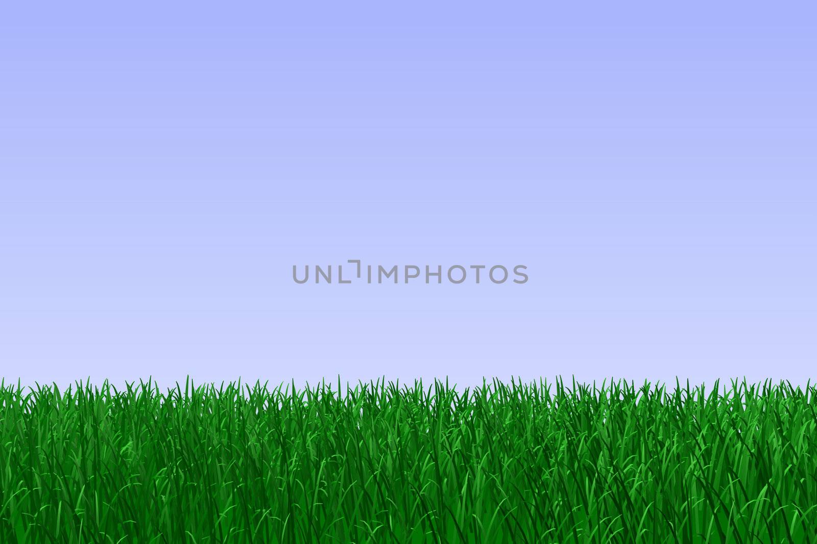 Green Grass by nmarques74