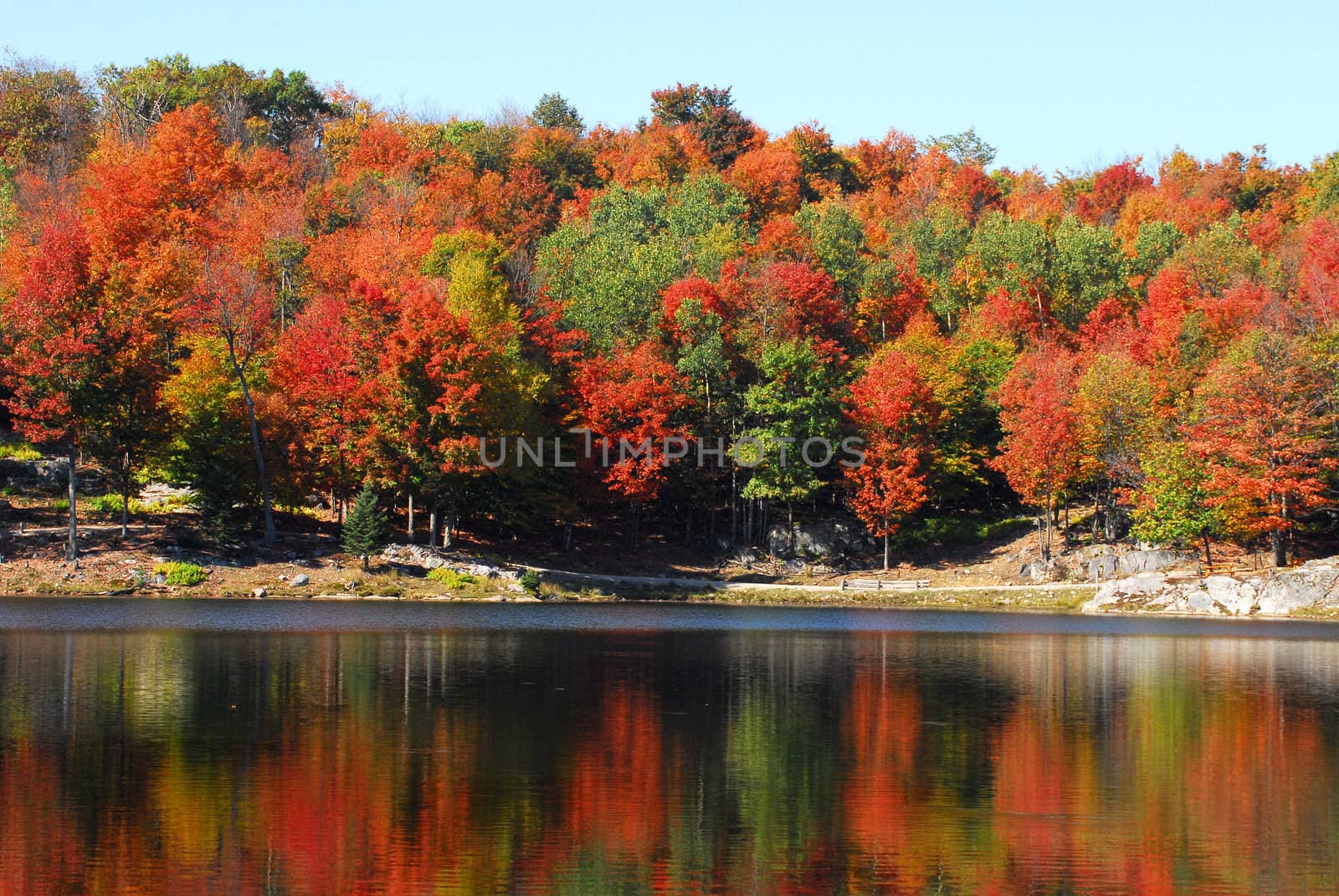 Picture of a calm lake with colorful trees in the background