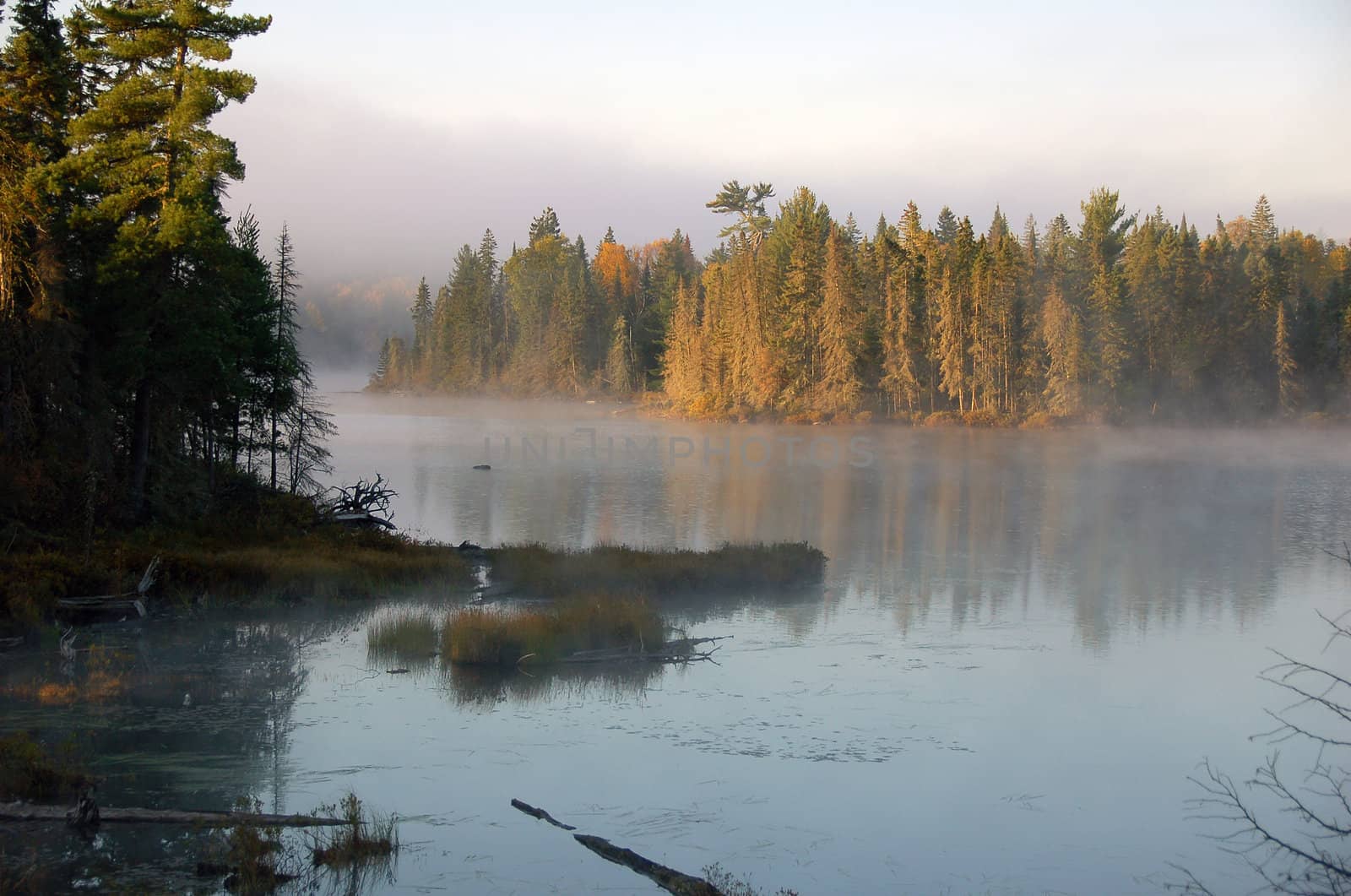 Early morning picture of a lake with mist coming up in fall