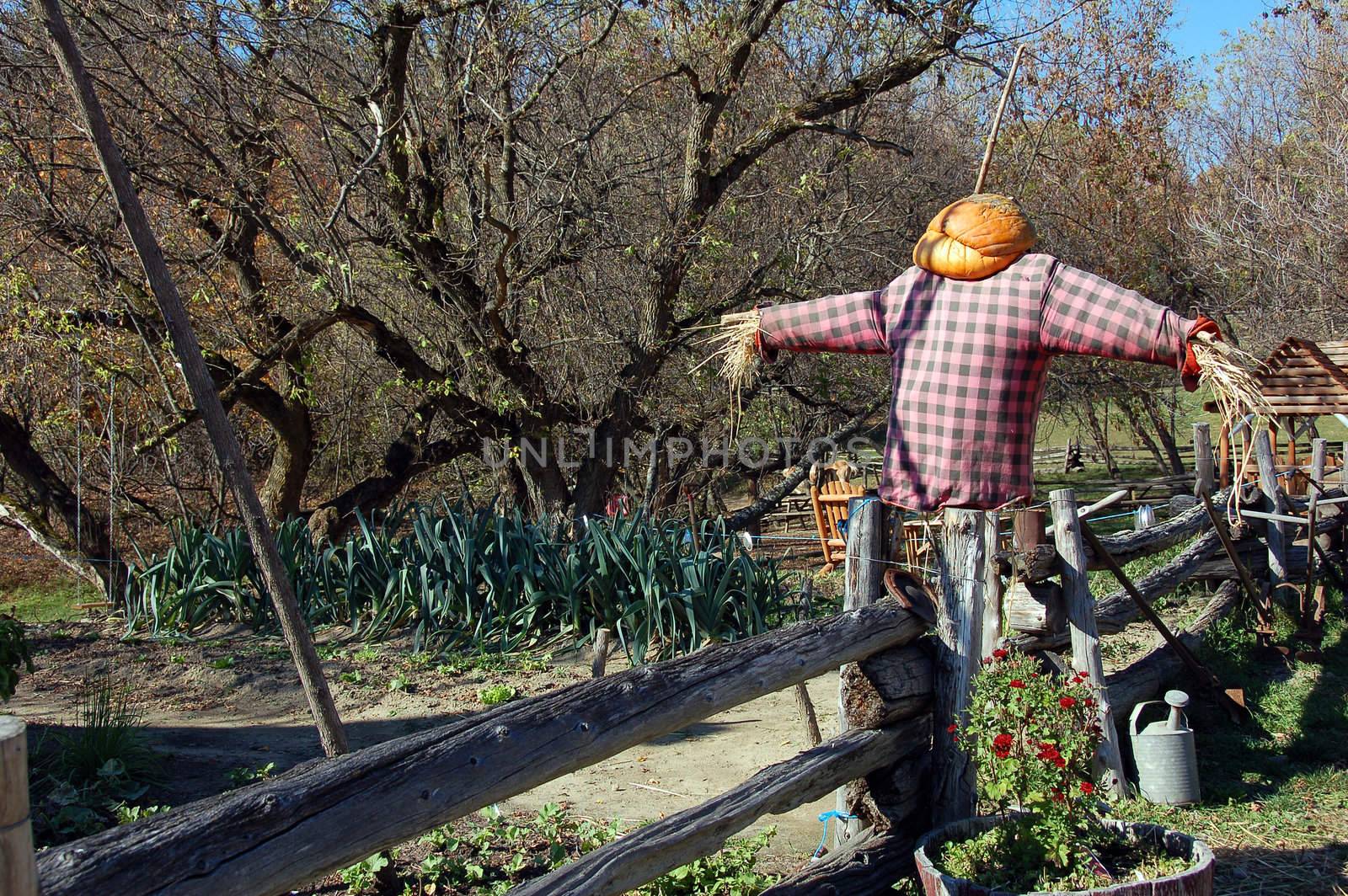 Picture of a scarecrow in a rural environment