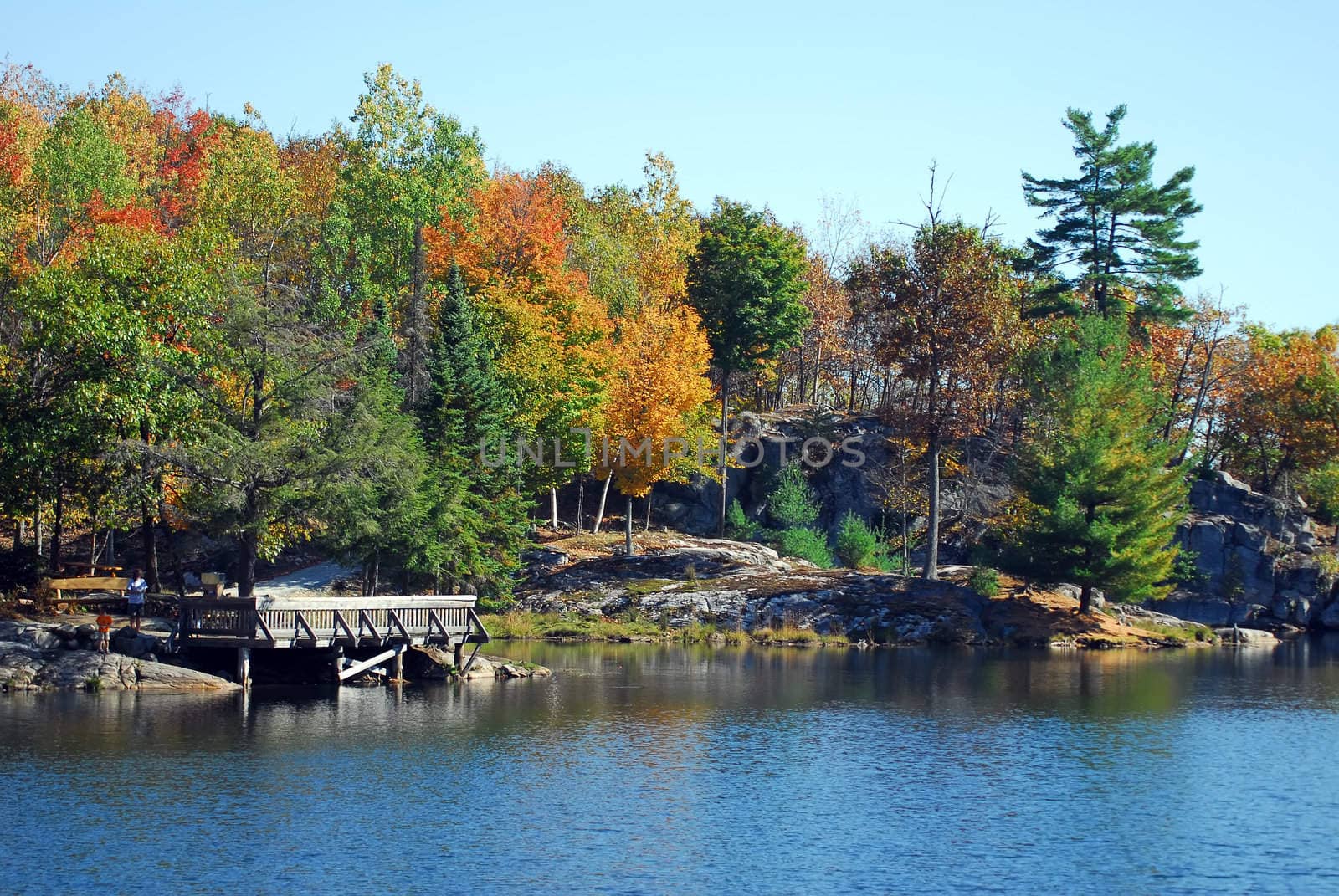 Picture of a calm lake with colorful trees in the background