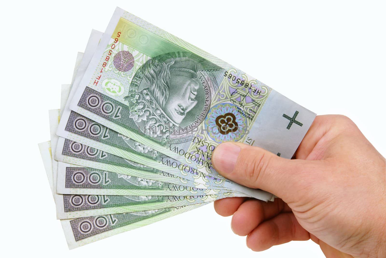 Polish money giving isolated on white background with clipping path