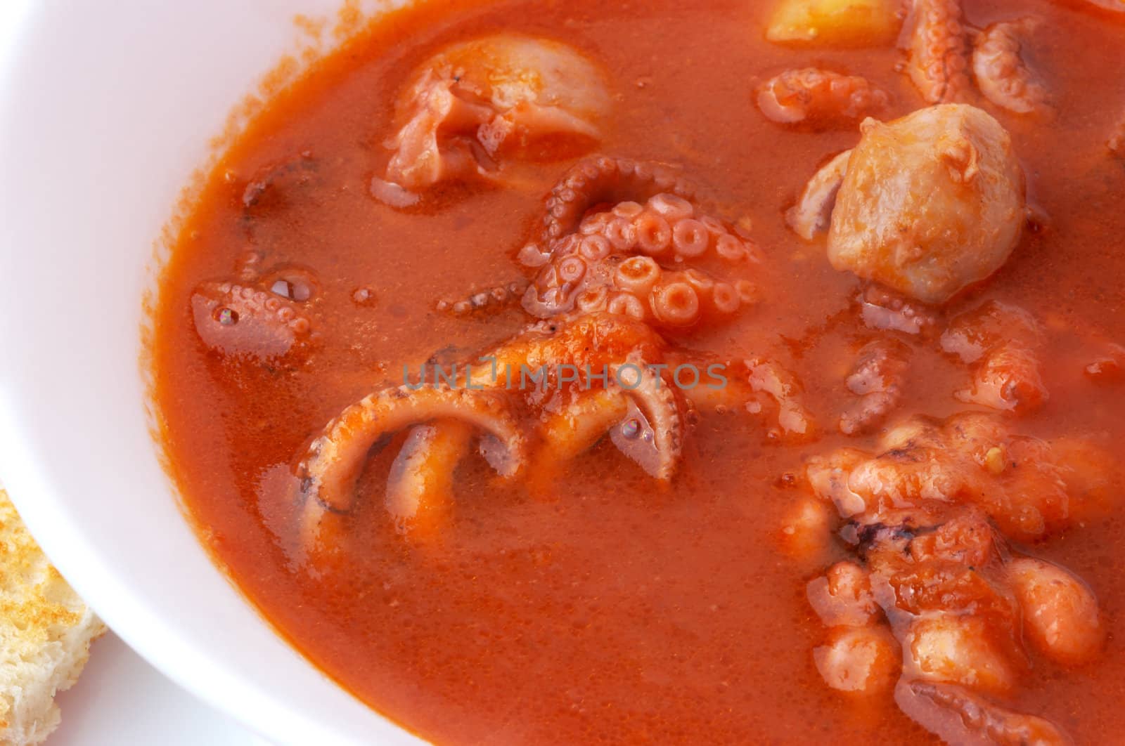 seafood tomato soup from cuttlefish, octopuses amd other molluscs