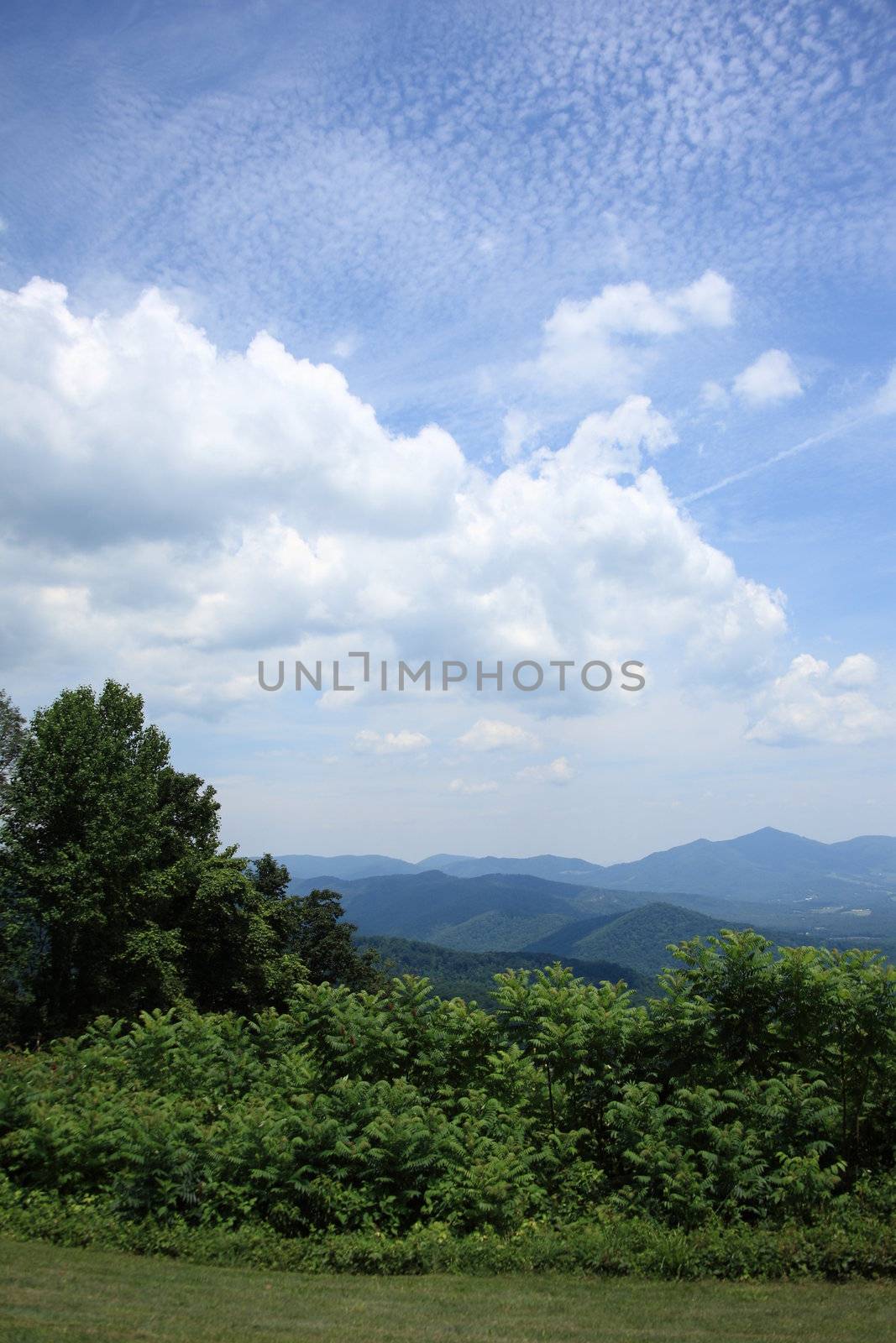 Summertime view from scenic Blue Ridge Parkway.