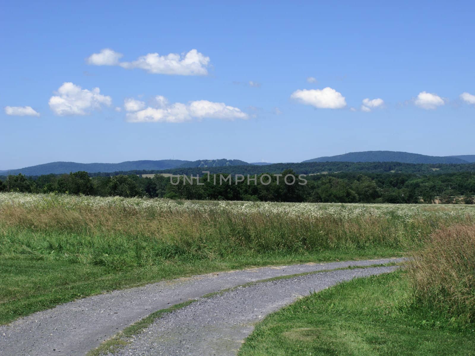 A back road winds through a rural summer landscape