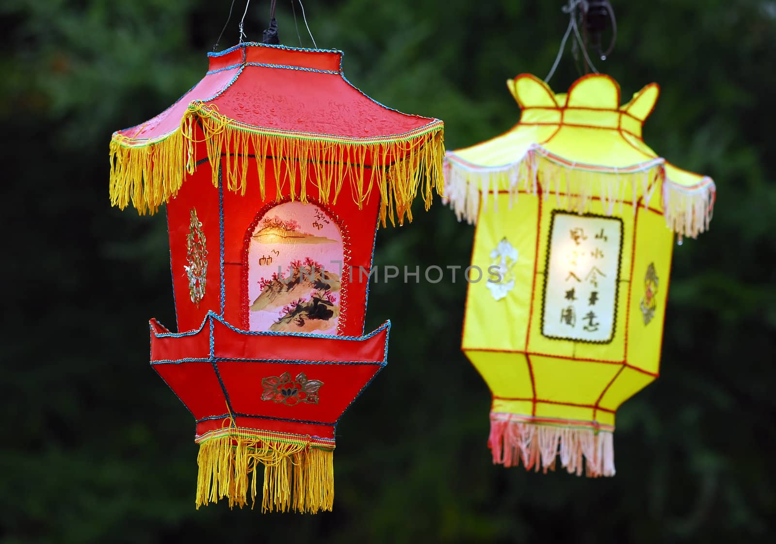 Portrait of two Illuminated Chinese Lanterns