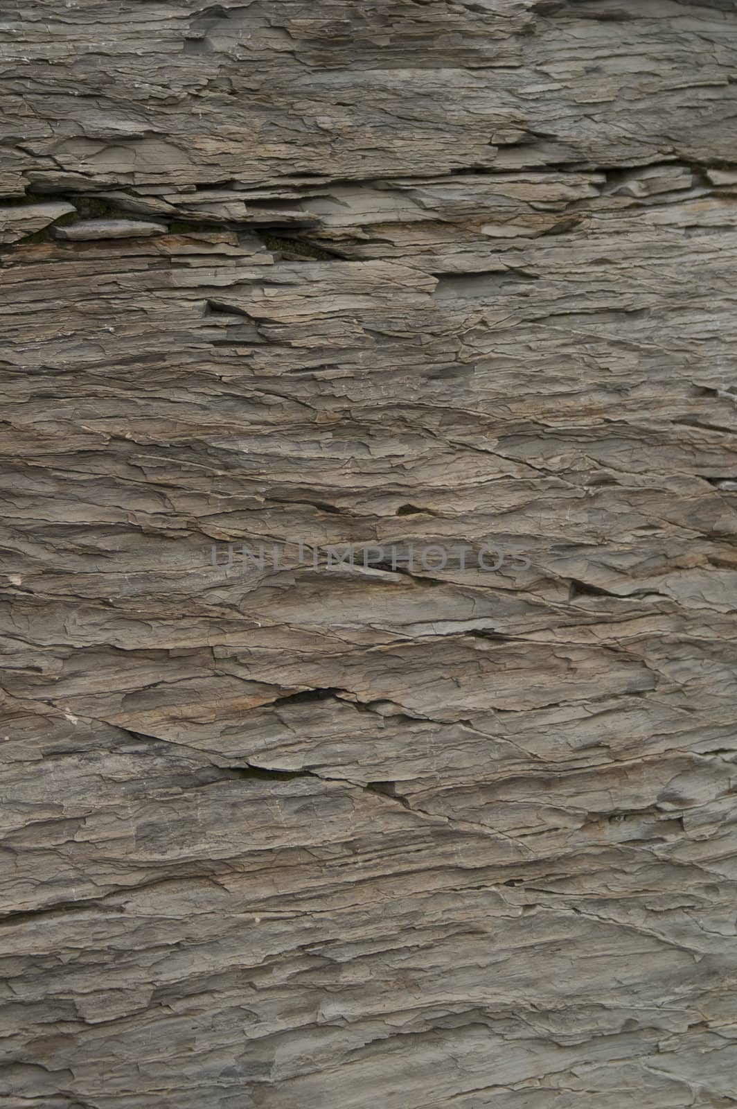 Close-up of slate in the Canadian Rockies