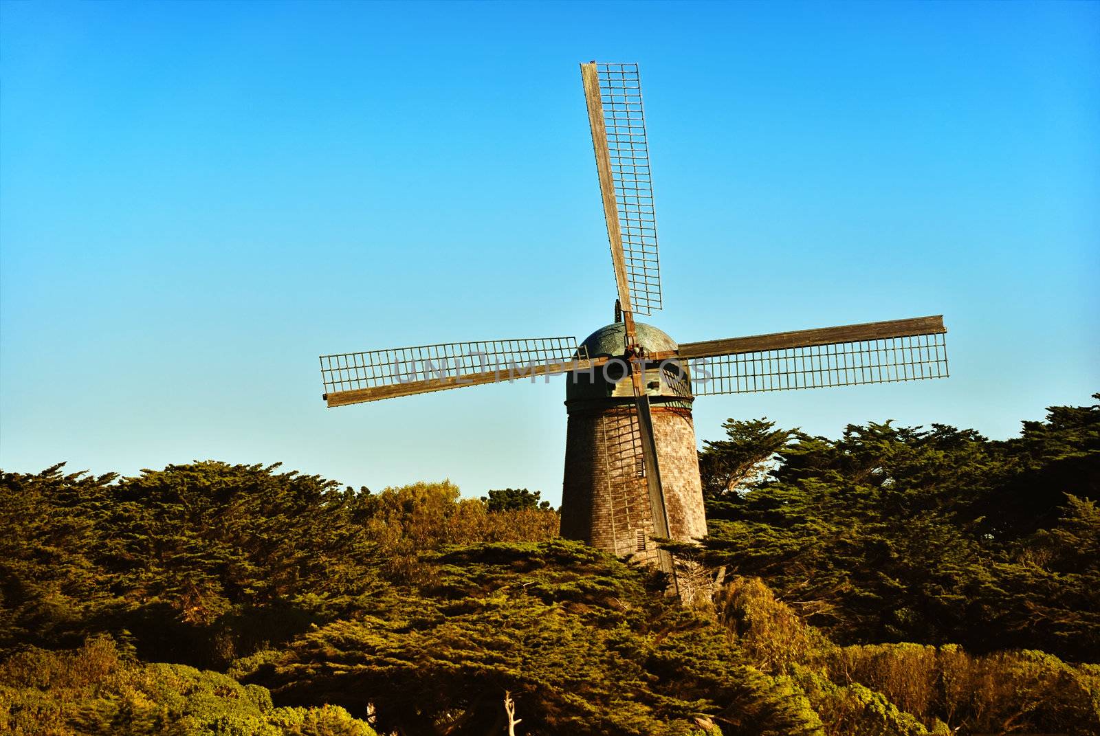 Windmill near San Francisco lit by afternoon sun.