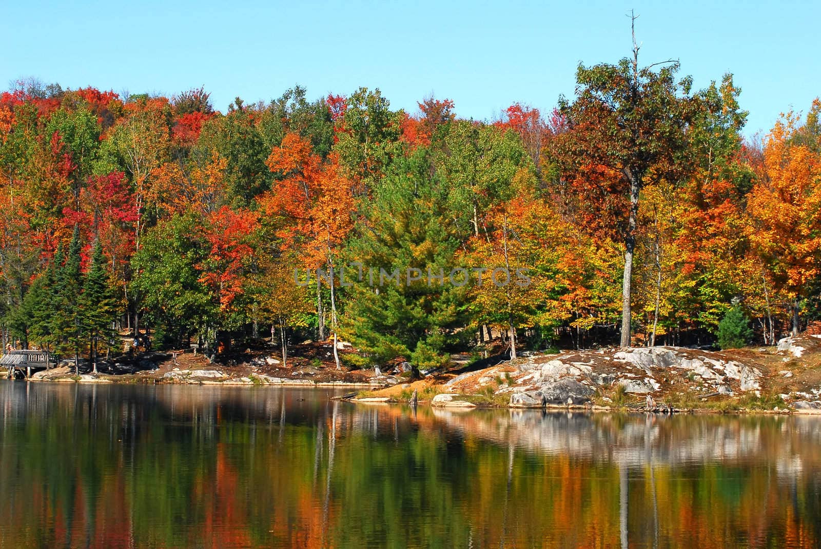 A beautiful autumn's landscape in the morning