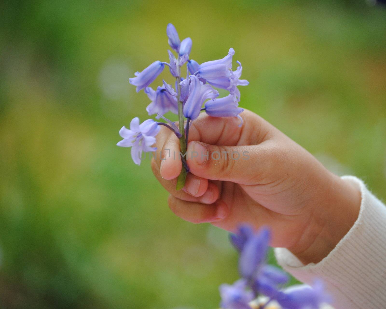 kids hand holding flower