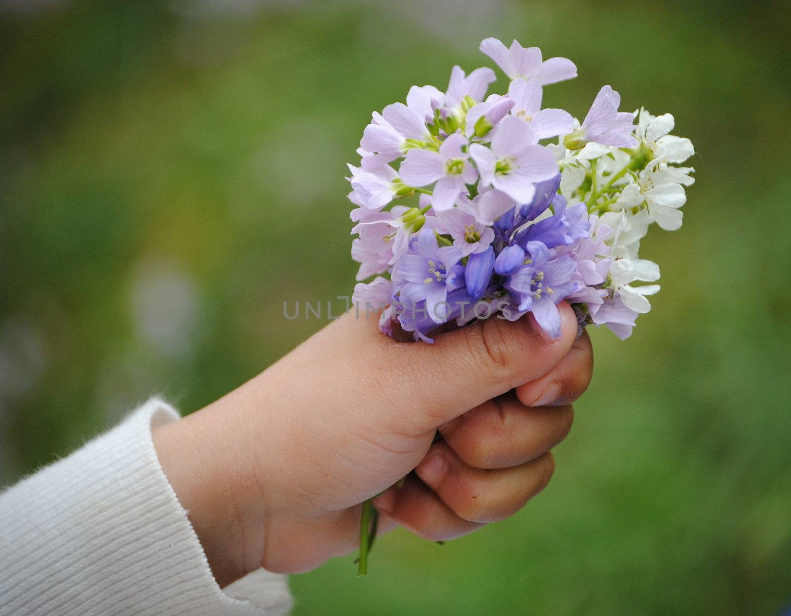 kids hand holding flowers
