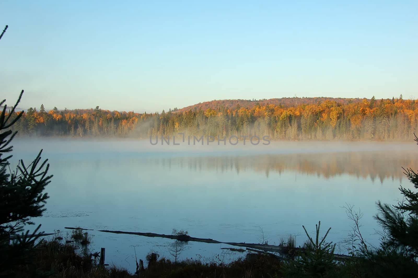 A beautiful autumn's landscape in the morning with fog and mist