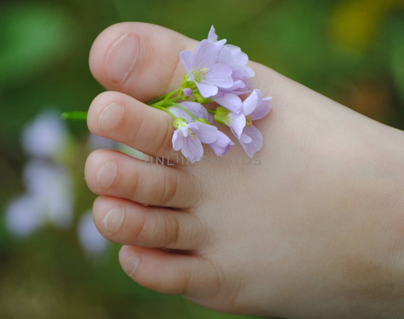 childs toes by viviolsen