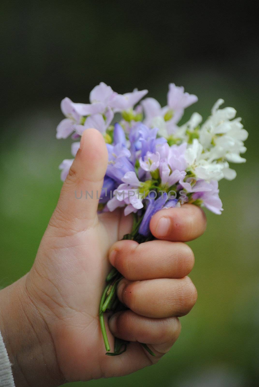 childs hand with flowers