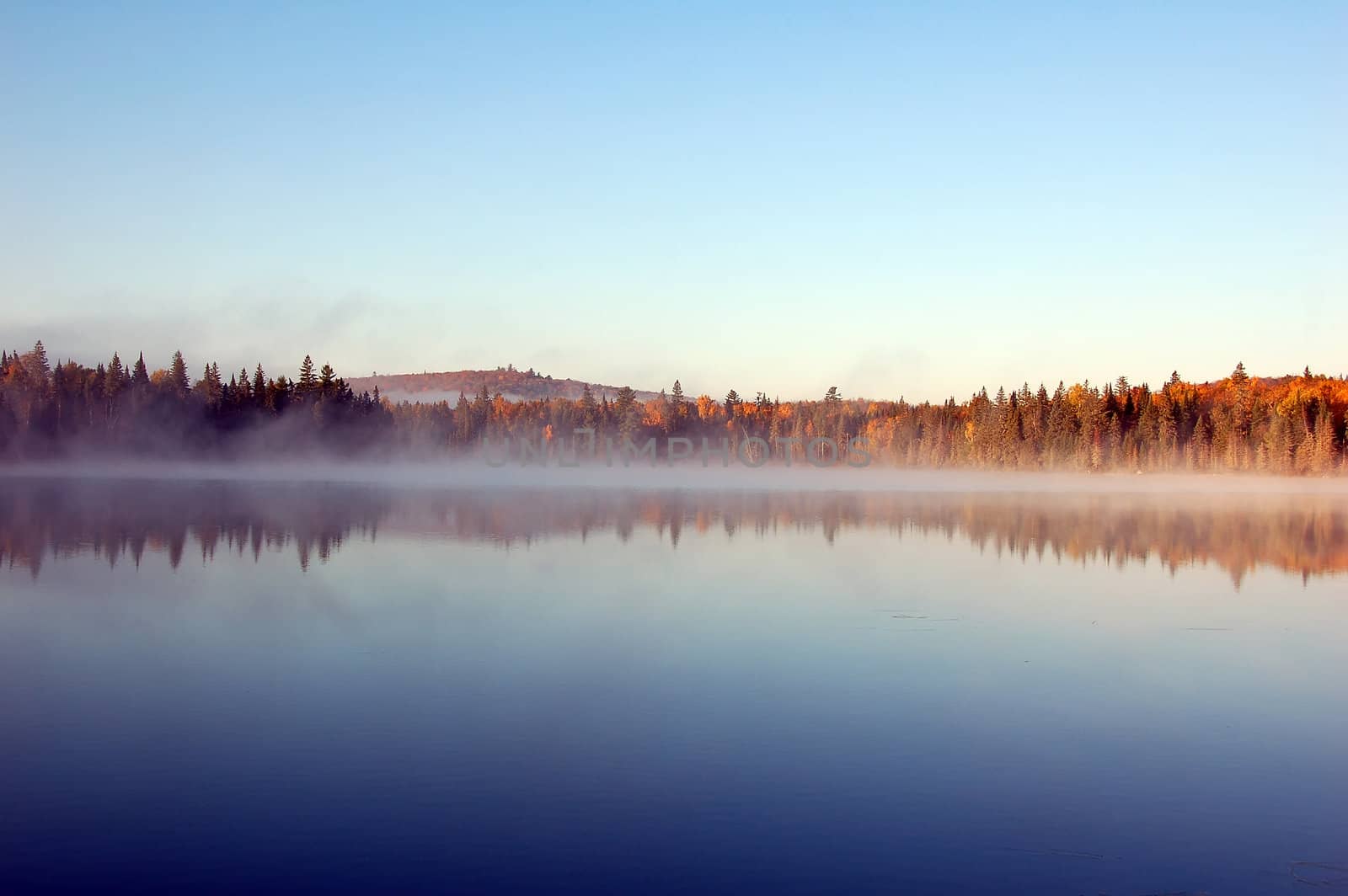 A beautiful autumn's landscape in the morning with fog and mist