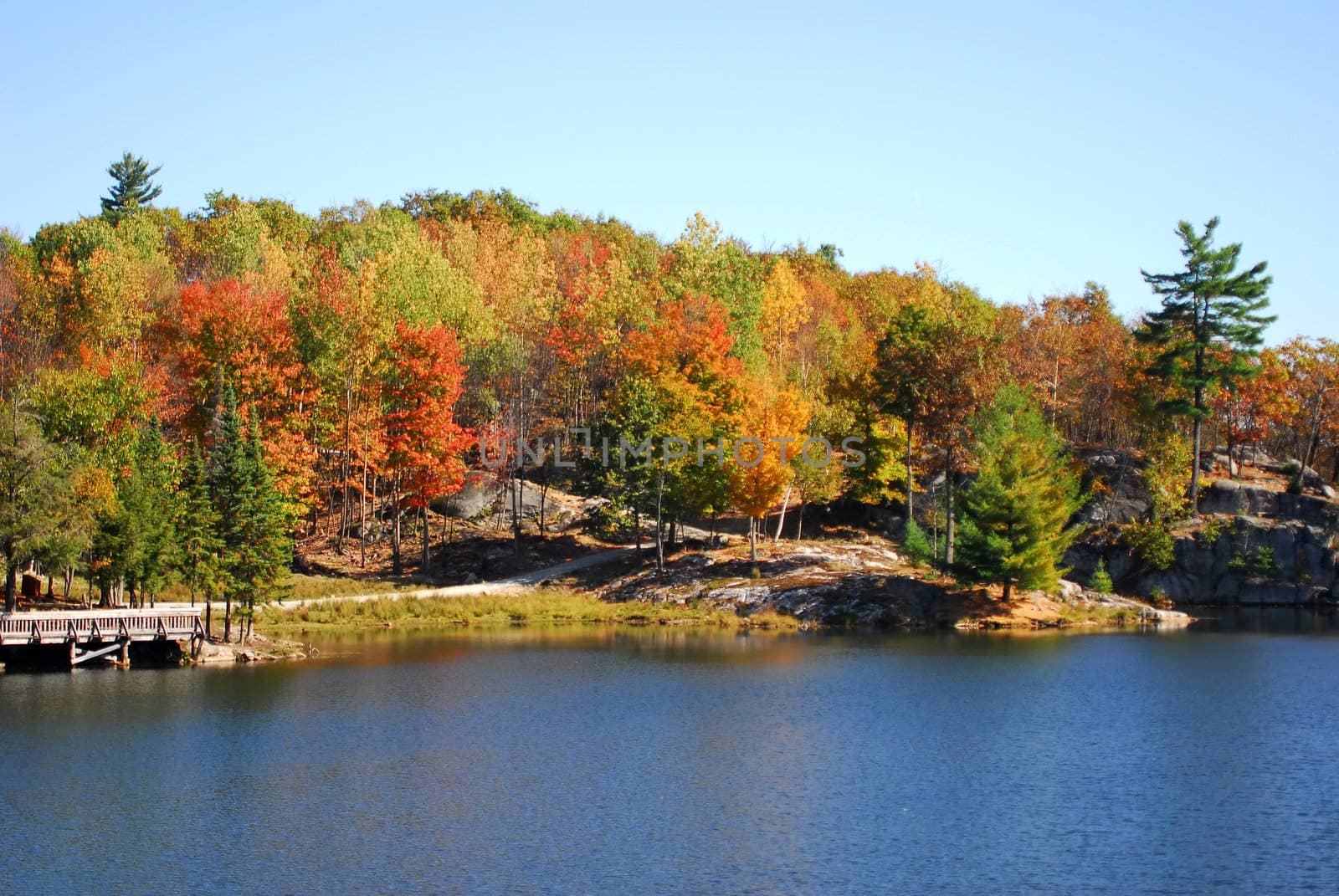 A beautiful autumn's landscape in the morning 