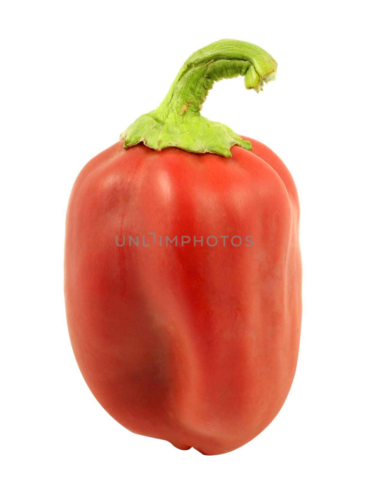 Red pepper isolated in white