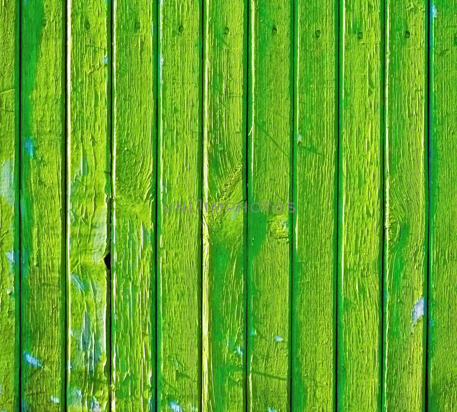 Green surface of a wooden old decayed wall