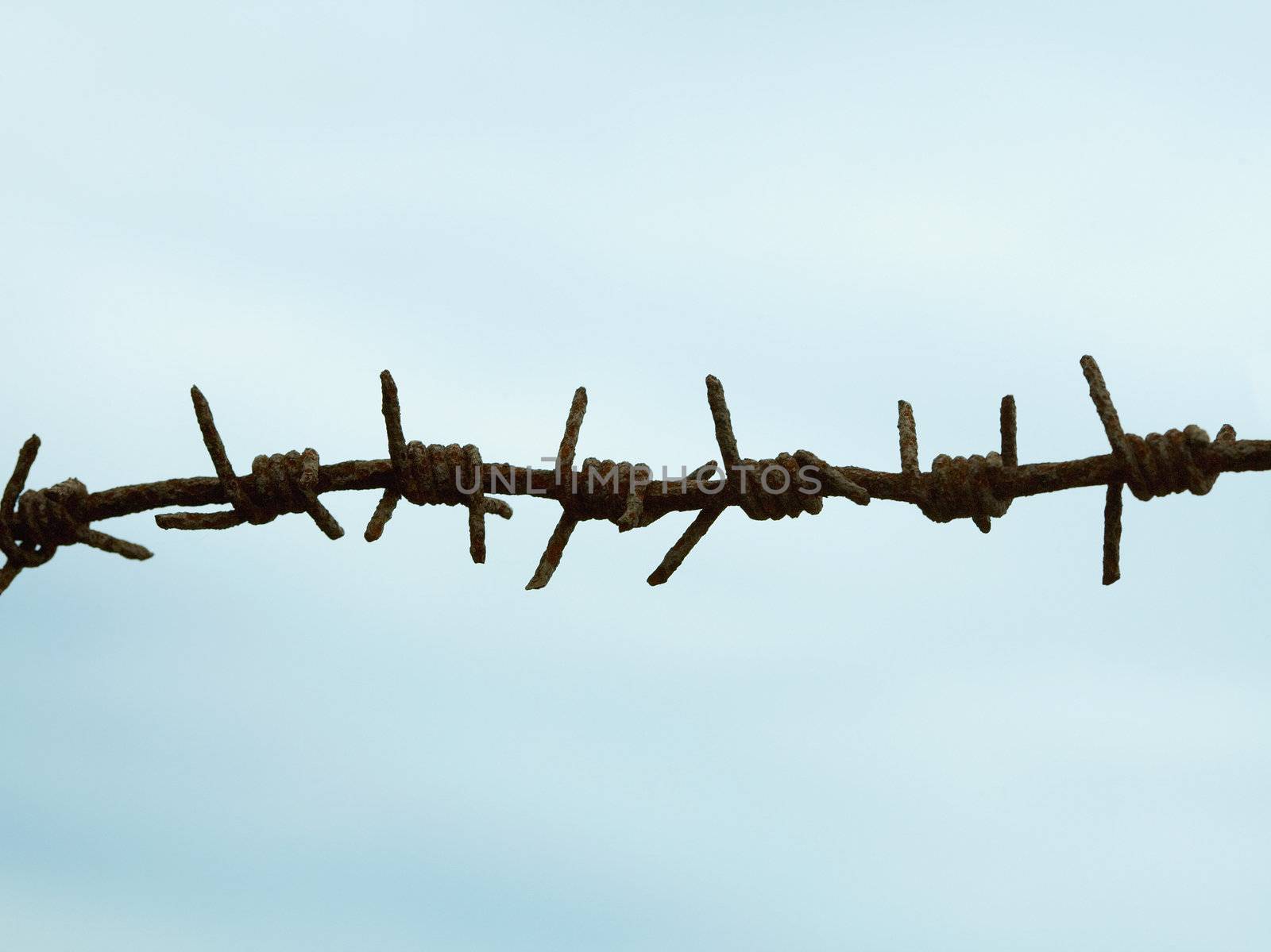 Ancient rusty barbed wire against the blue sky