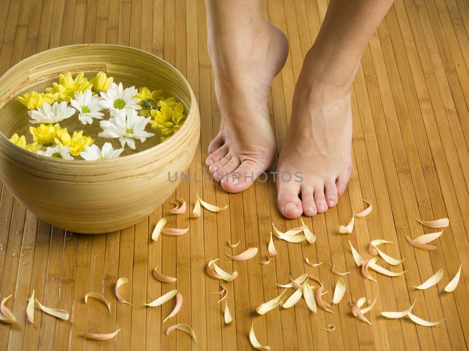 feet near a basin with flowers and water