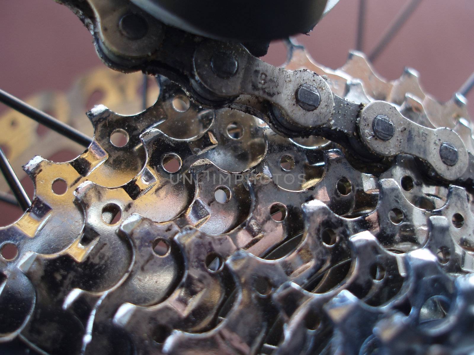 detail of a mountain bike bear mechanism, rear cassette and derailleur