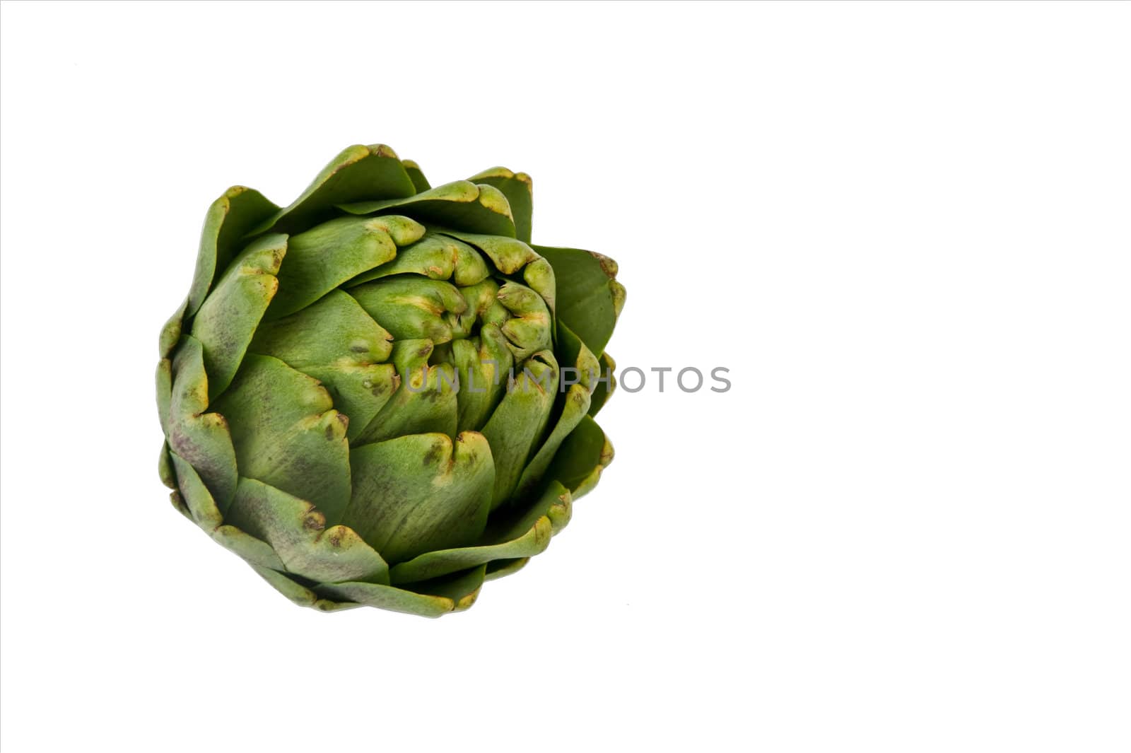 Image of an artichoke on a white background