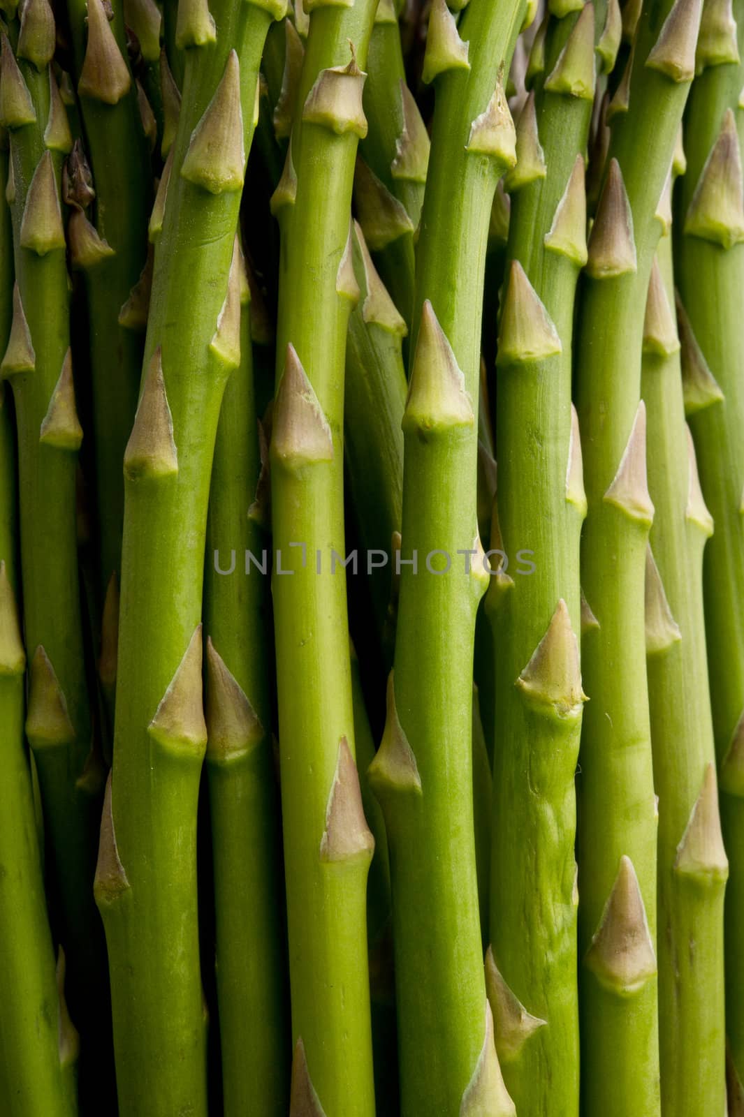 Image of a close-up of asparagus stalks