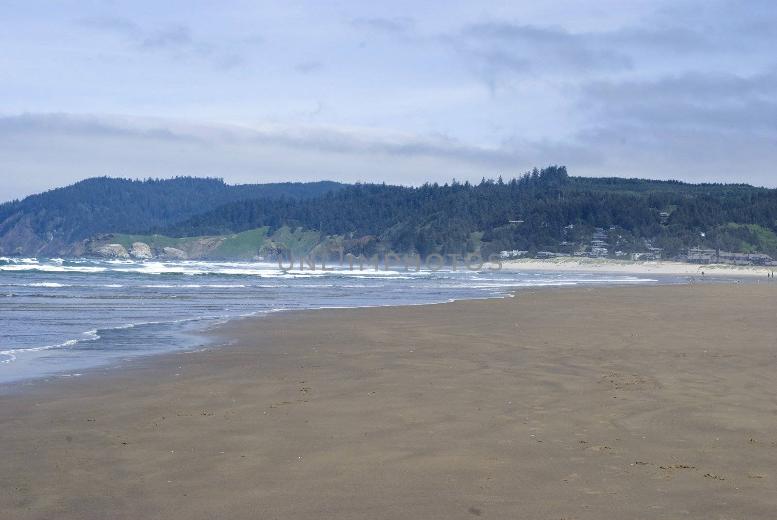 view of the beach in the pacific northwest