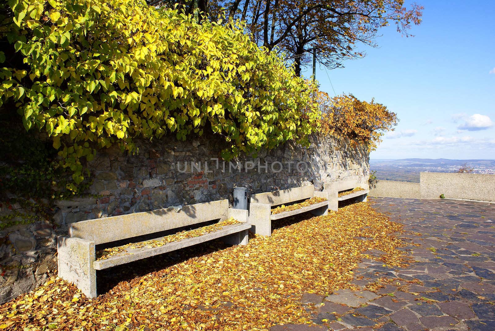 Three benches covered with leaves on a sunny day in autumn.