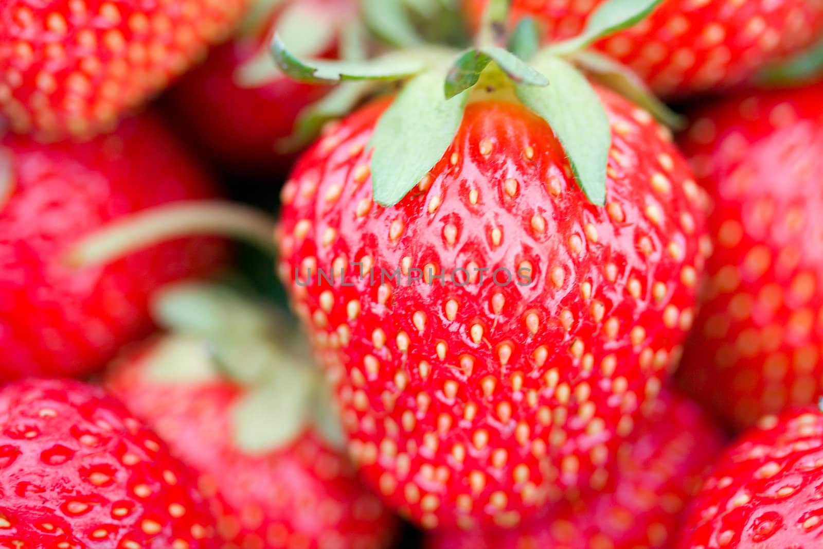 big strawberry with shalow depth of view by Alekcey