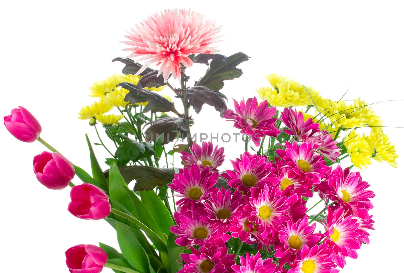 bouquet of various flowers, isolated on white
