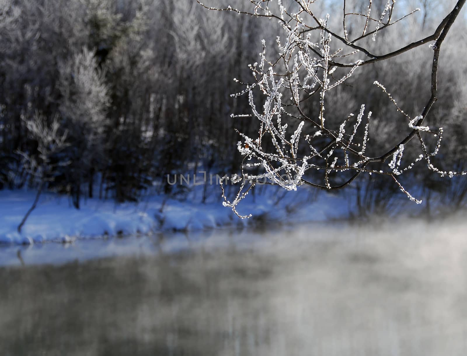 A winter landscape showing a foggy river on a cold day