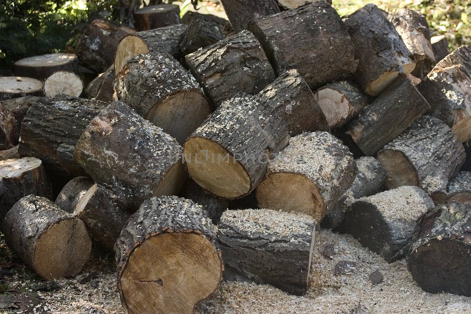 Chopped timber in a pile ready to be used
