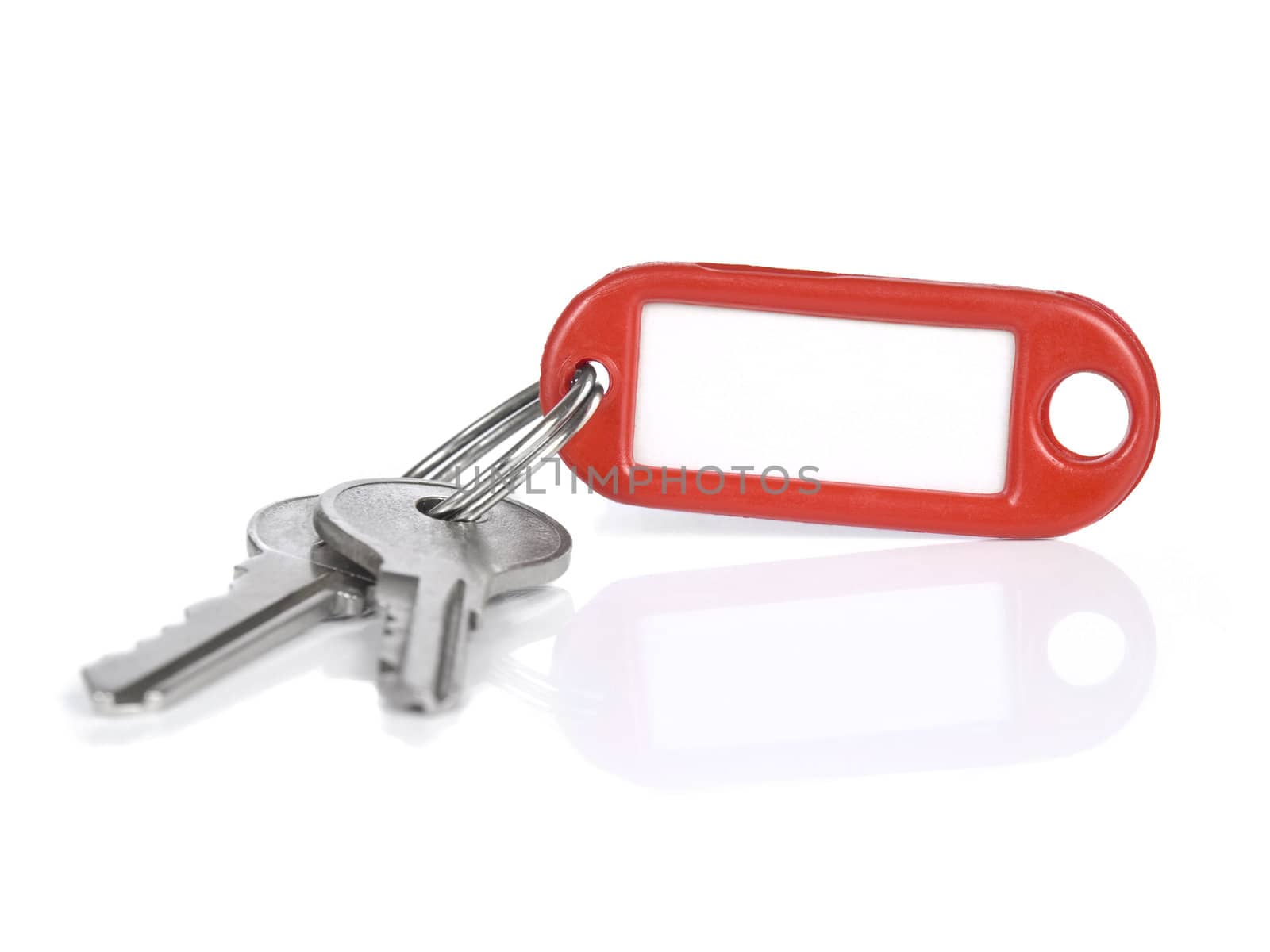 Two keys on a blank keyring with space for text, isolated on white.