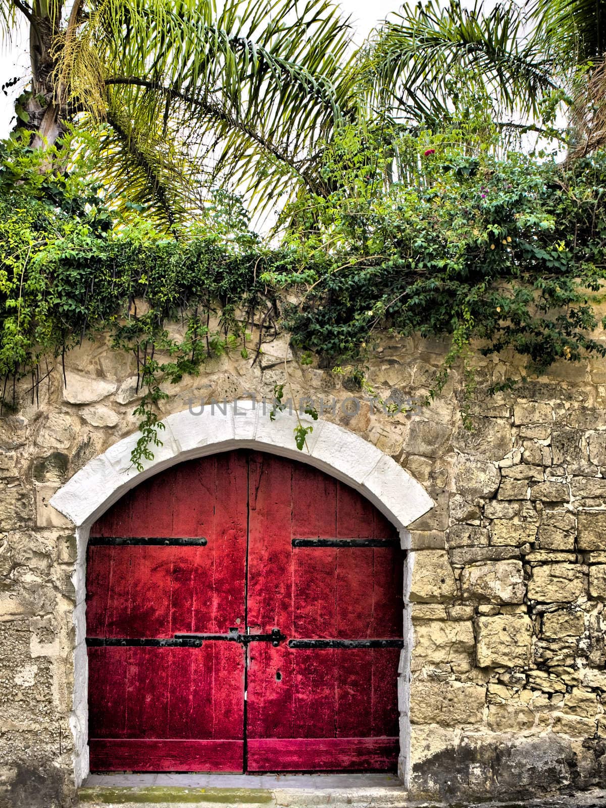 Red medieval garden door rich in texture