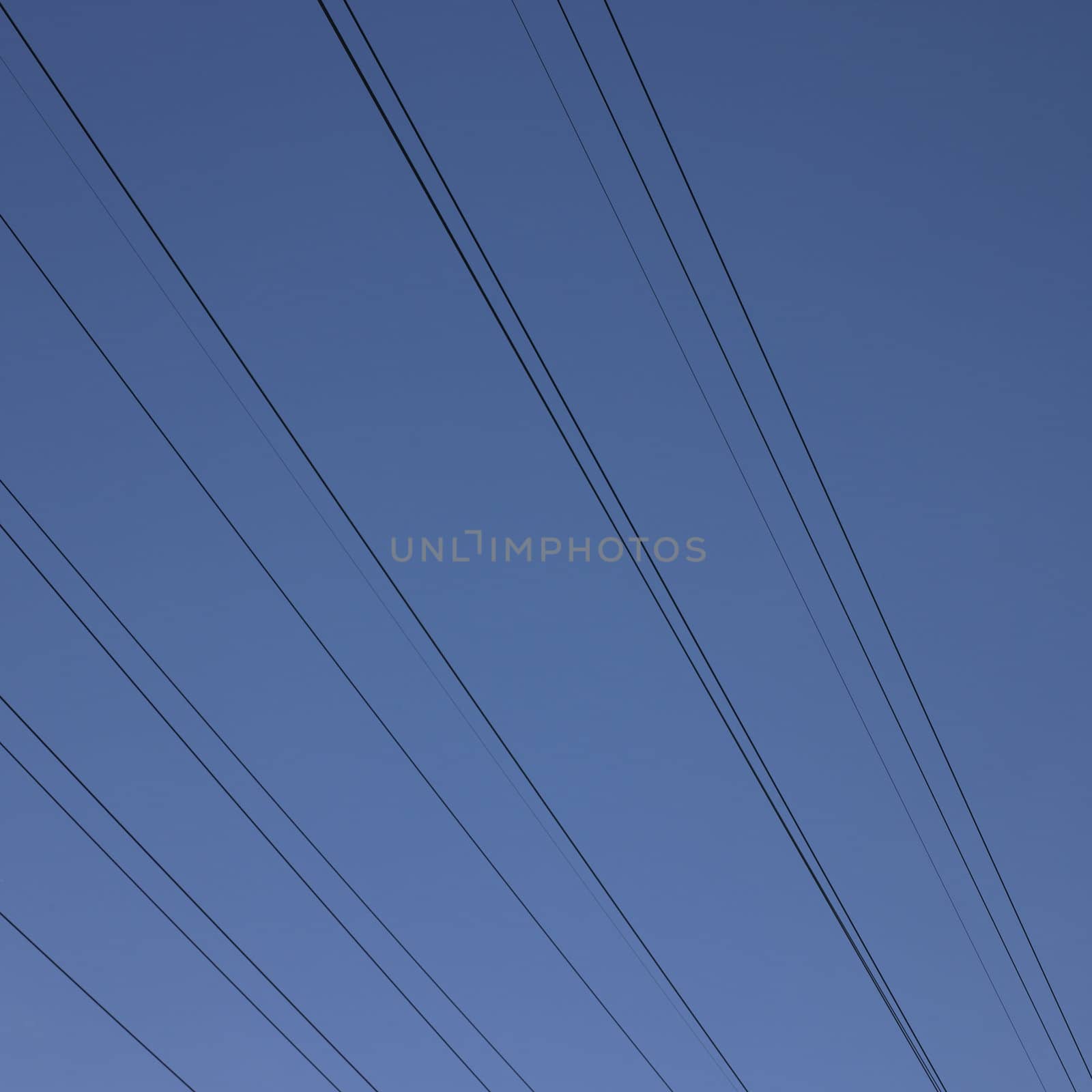 black electric wires in the blue sky