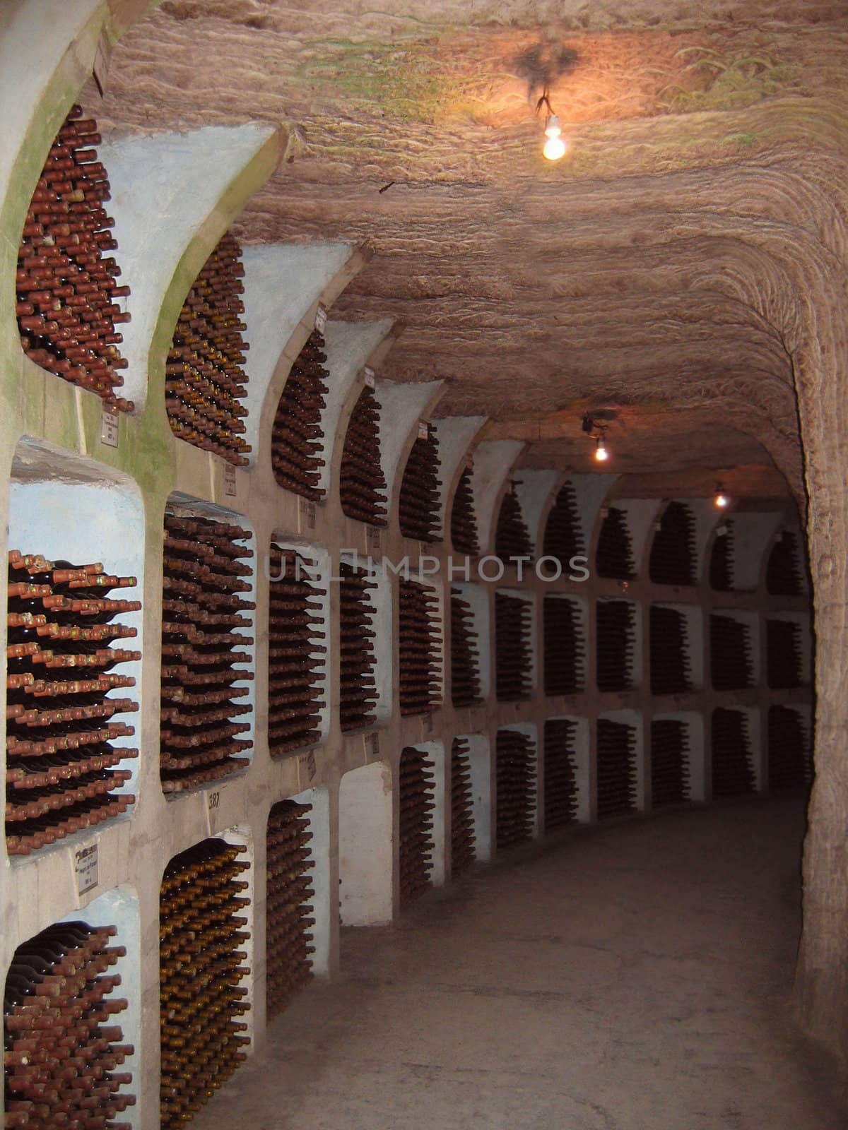 Wine cellar by Angel_a