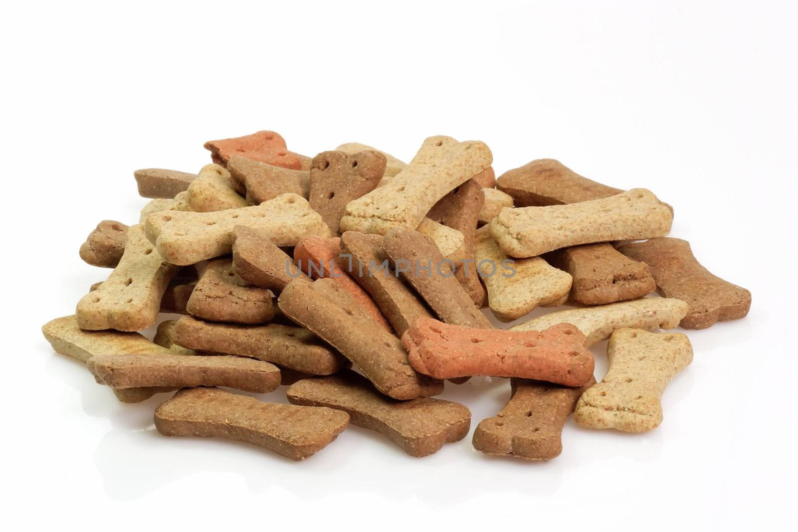 Dry dog food on bright background