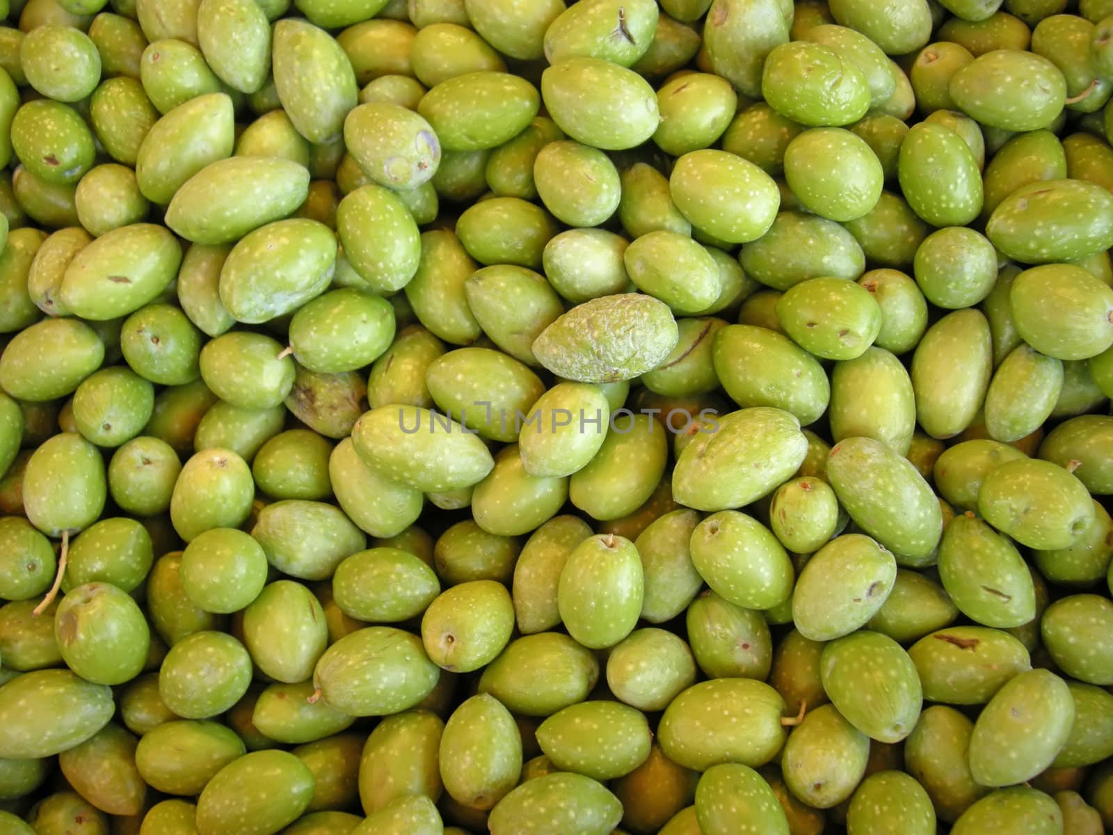 Pile of fresh green Olives just harvesting