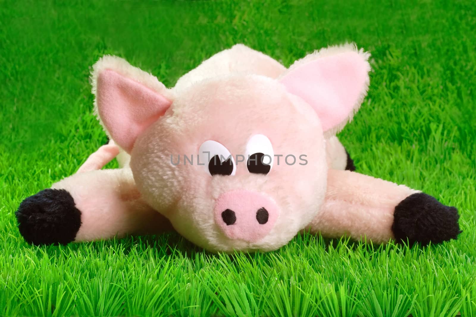 Pink piggy soft toy green grass background