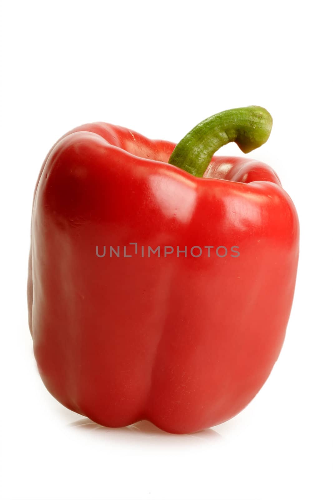 Red bell pepper on bright background