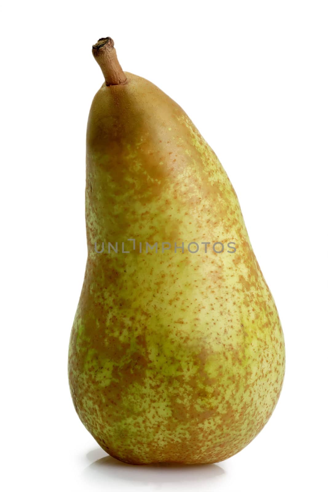 One pear on bright background. Shot in sutdio