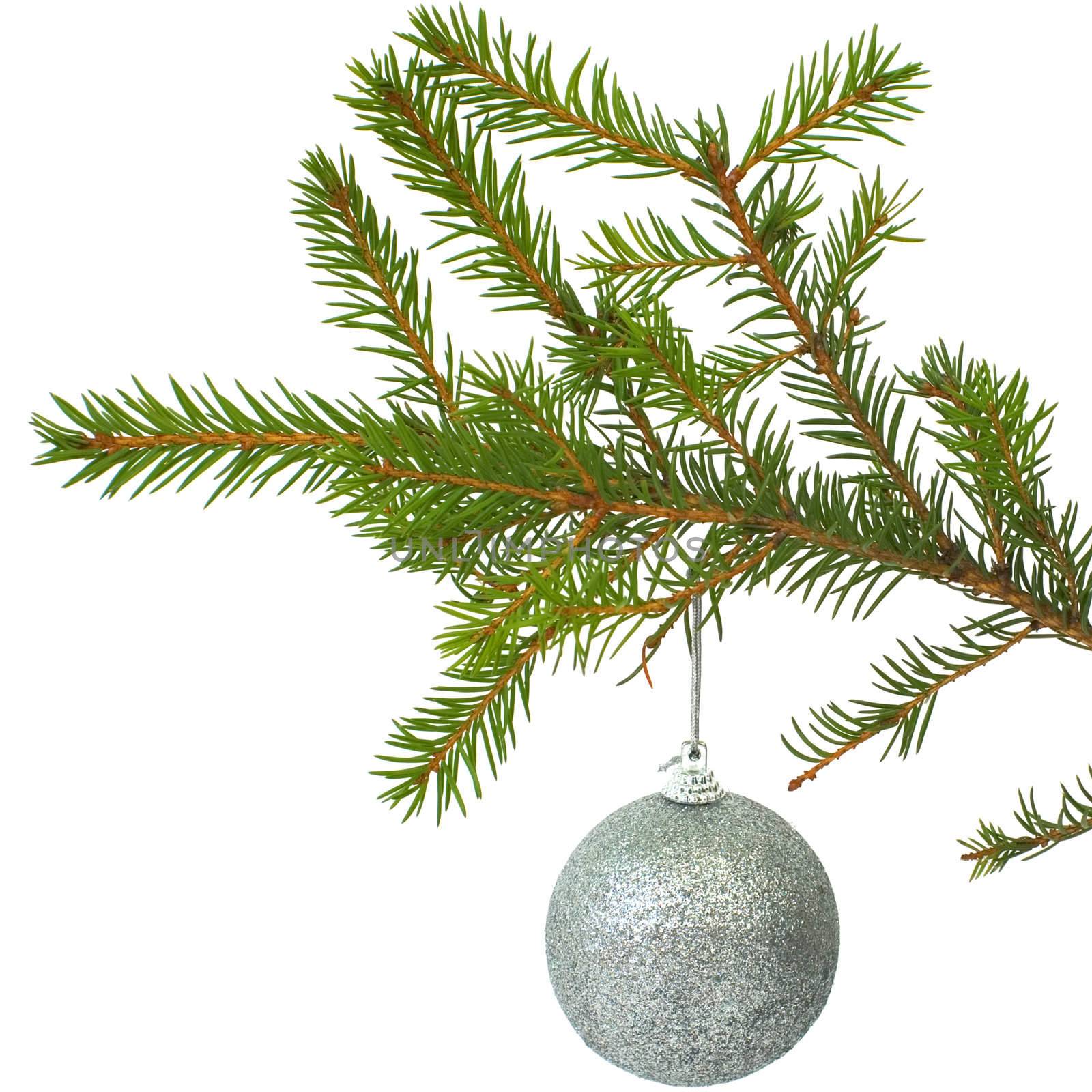Silver New Year's ball on a fur-tree branch on white background