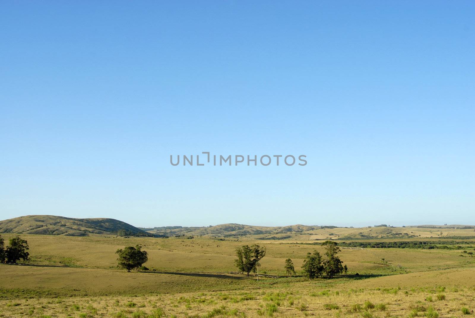 Country landscape under a clear sky