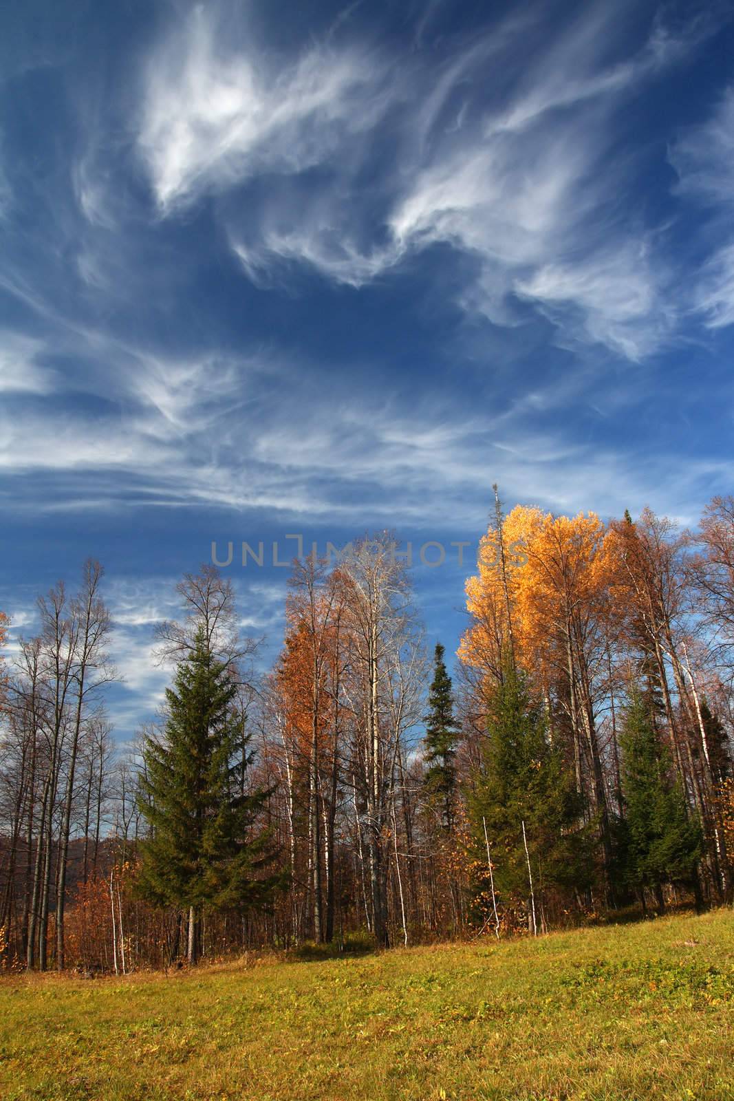 autumn landscape in Ural mountains by Mikko