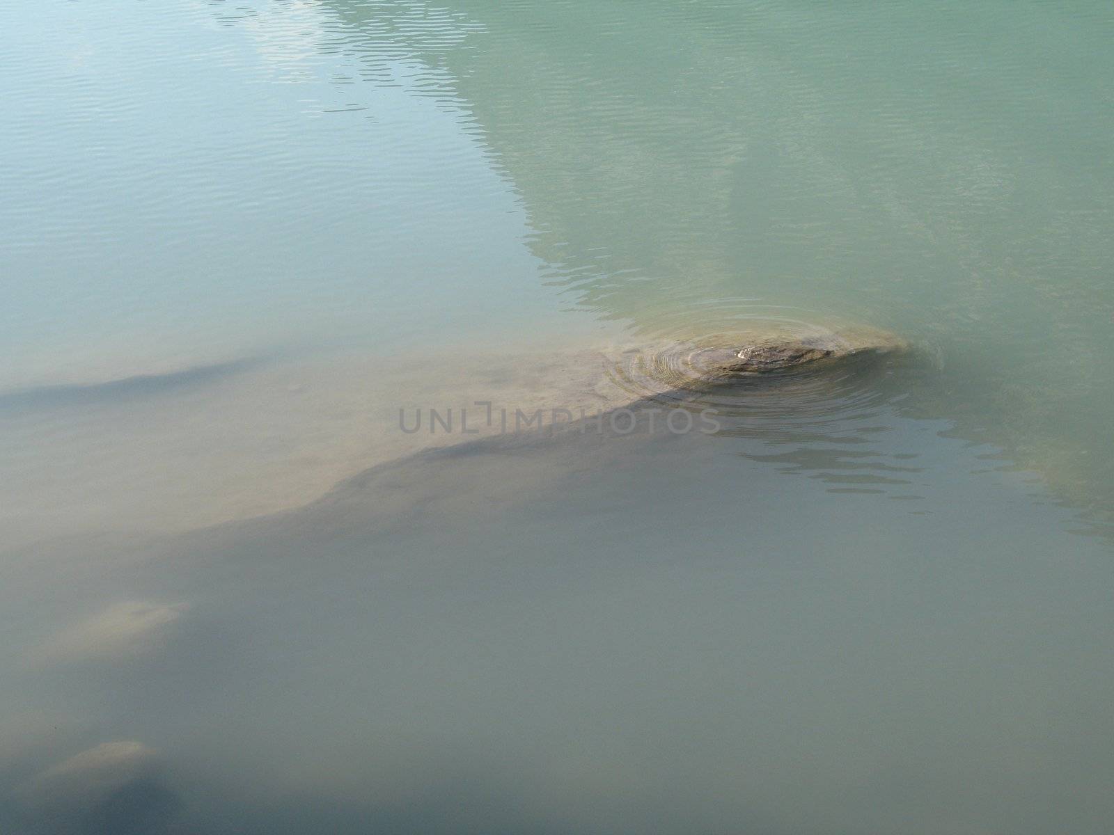 grey polished rocks and green river water by mmm