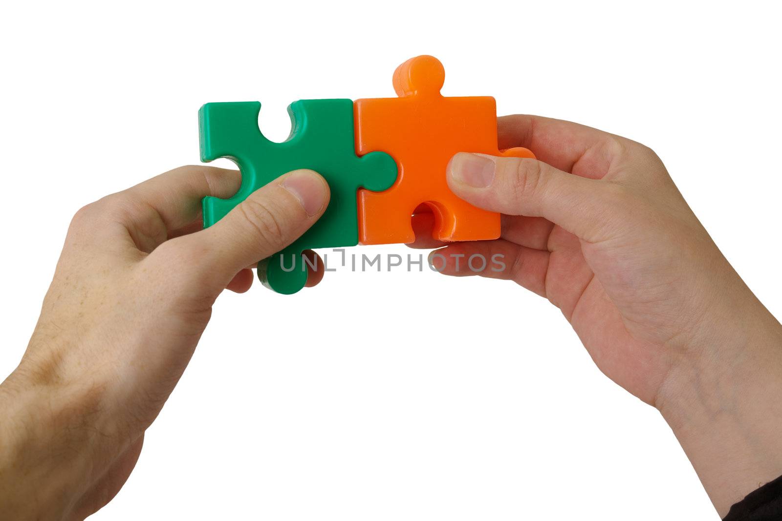 Hands holding details of a puzzle on a white background