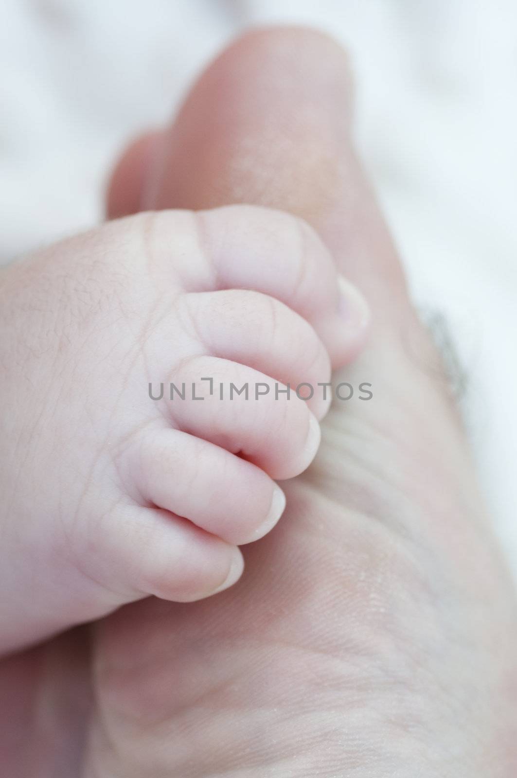 Picture of a new born foot.