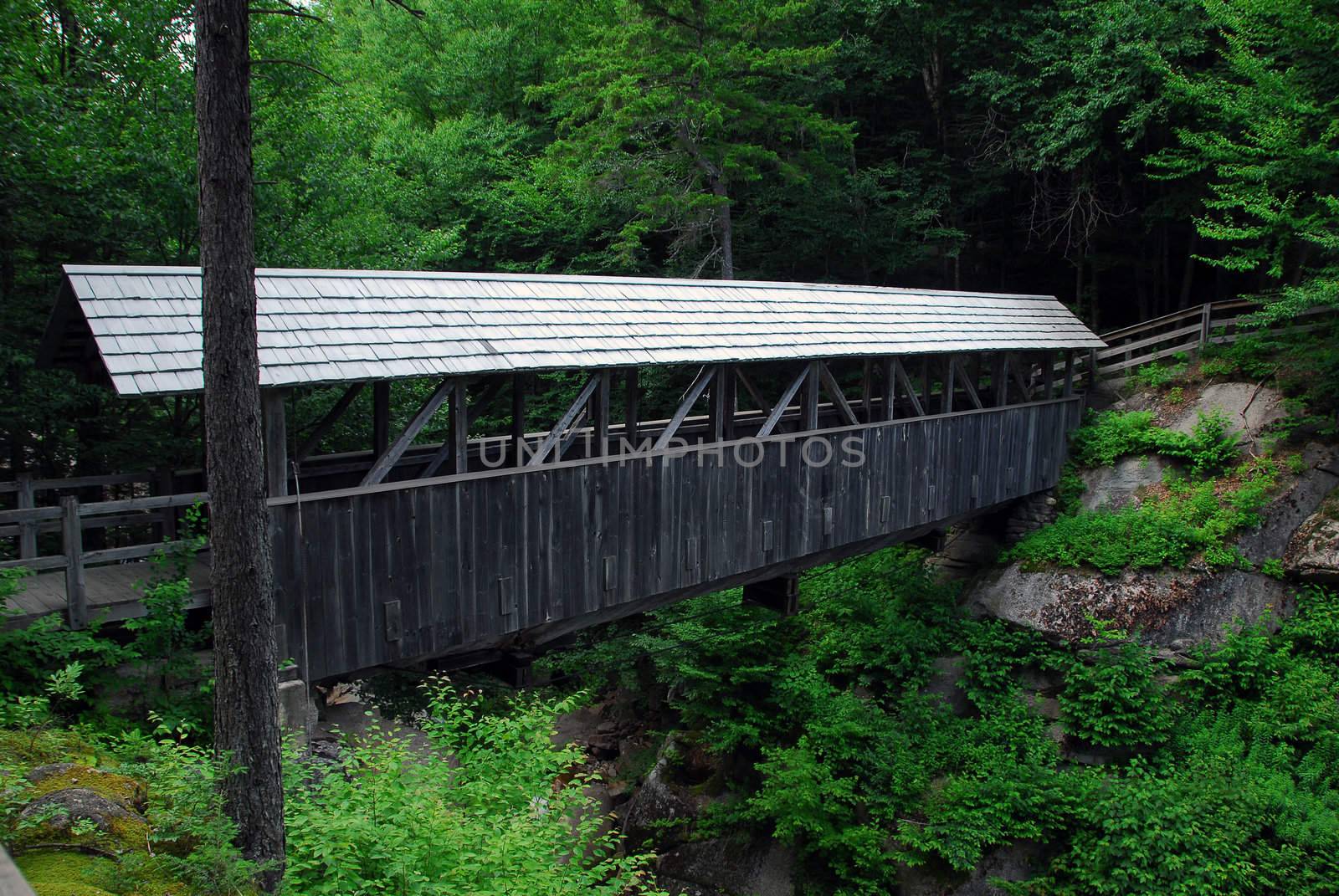 Small wooden covered bridge for pedestrian