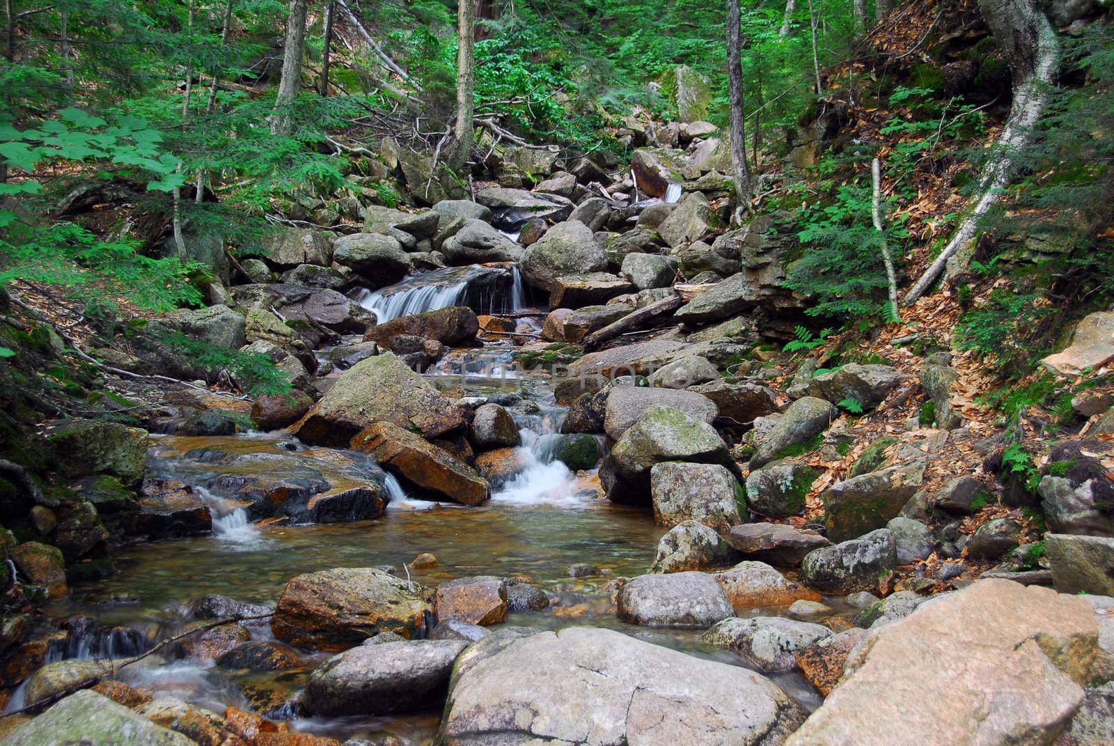 Picture of a natural small water fall in summer